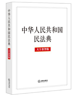 《中华人民共和国民法典》大字条旨版