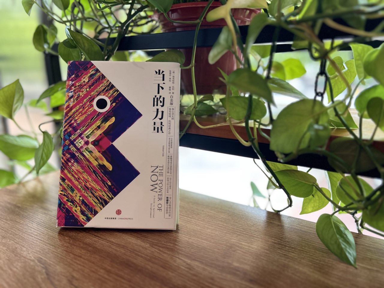  悦读邯郸·邀请函| 阅读，是最好的消夏良方